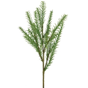 Rosemary Bush X 9 -39cm