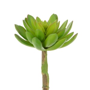 Succulent Lotus Pick - 21cm