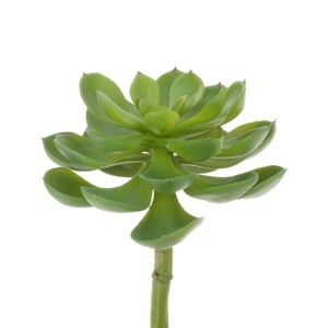 Succulent Desert Pick -23cm