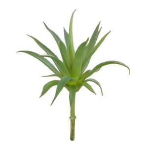 Aloe Pick 20cm