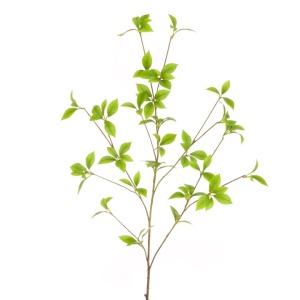 Wild Honeysuckle Spray 109cm