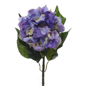 Hydrangea Extra Lge Lavender