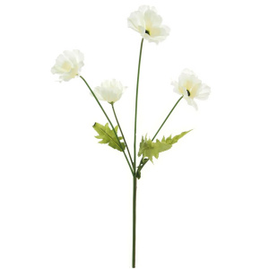 Silk Sml Wild Meadow Poppy Ivory