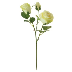 Silk Sml Savanna Rose Ivory