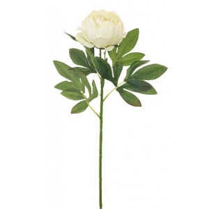 Silk Millicent Peony Cream