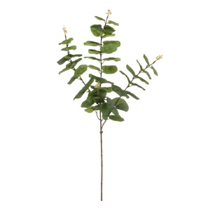 Rounded Eucalyptus Spray Green