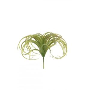 Plastic Ss Spider Succulent Nat. Green