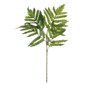 Plastic Buckler Fern Spray Green