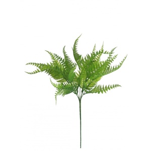 Hay Fern Bunch Natural Green