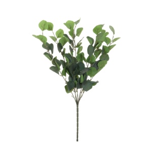 Silk Tall Lg Silver Dollar Euc Bunch Nat.green