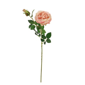 Silk Single English Rose Coral