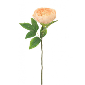 Silk Audrey Peony Pale Pink