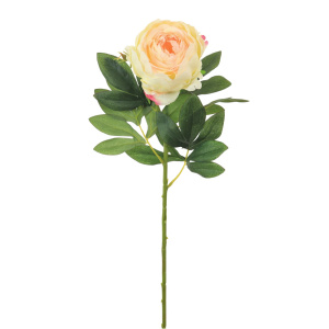 Silk Millicent Peony Pink/cream