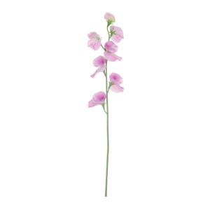 Silk Sweet Pea Stem Pink
