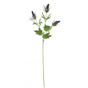 Eryngium Spray Purple