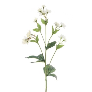 Astrantia Spray - 77cm