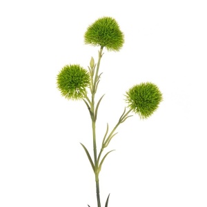 Green Dianthus Spray - 60cm