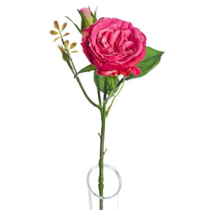 Lydia Cabbage Rose Spray Dk Pk