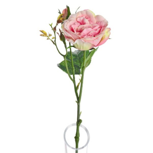 Lydia Cabbage Rose Spray Pale