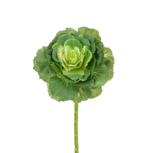 Ornamental Cabbage Spray 46cm