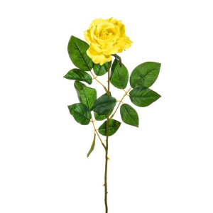 Premium Rose Medium Yellow 69c