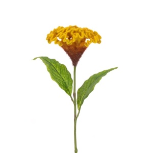 Celosia Spray - 62cm