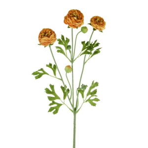 Ranunculus Spray Orange