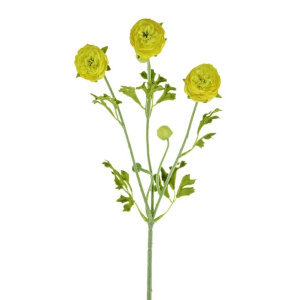 Ranunculus Spray Yellow
