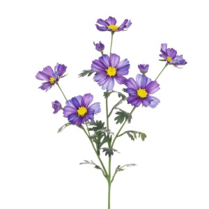 Meadow Cosmos Spray 85cm