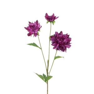 Dahlia Spray X 2 +1 Bud 77cm