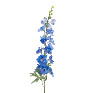 Delphinium Spray, Pale Blue