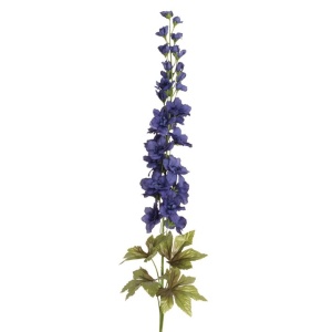 Delphinium X 19f 14b D/blue -77cm