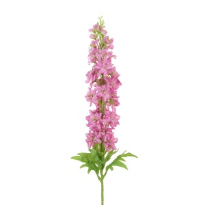 Garden Delphinium Spray 109cm