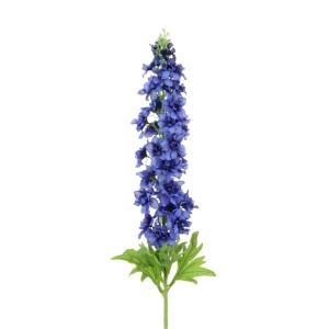 Garden Delphinium Spray 109cm