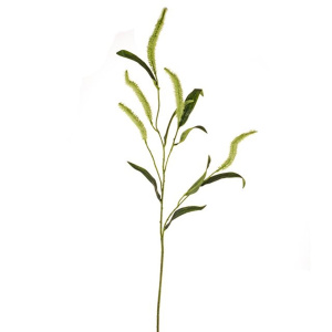 Foxtail Leaf Spray Green