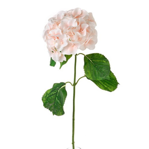 Luna Hydrangea Peach 75cm