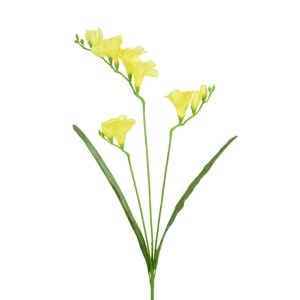 Freesia 5f 6b Yellow -65cm
