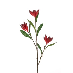 Ginger Lily Spray - 77cm