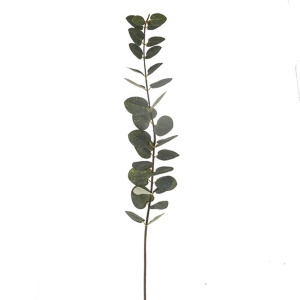 Eucalyptus Stem Green 87cm