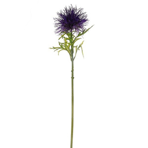 Globe Thistle Stem Purple