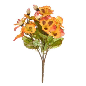 Pansy Bush Orange