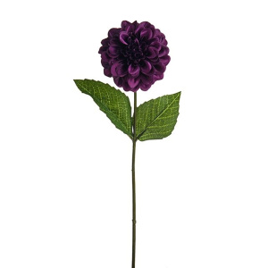 Olivia Zinnia Stem Purple 46cm