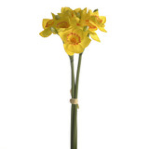 Daffodil Bundle Yellow & Orange 42cm