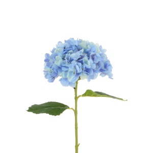 Hydrangea 65cm