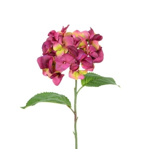 Garden Hydrangea X 1 58cm