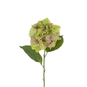 Garden Hydrangea X 1 58cm