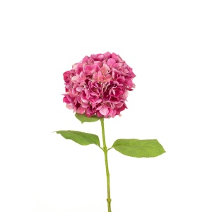 French Hydrangea - 70cm