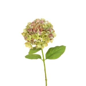 French Hydrangea - 70cm