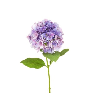 French Hydrangea - 70cm