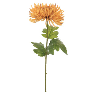 Silk Fuji Mum Stem Honey